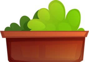 grass in a pot png