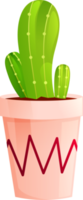 cactus en una maceta png