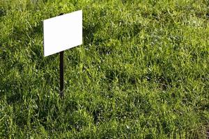 blank white sign mockup on green lawn background - close-up with selective focus photo