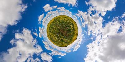 Proyección de pequeño planeta de panorama esférico de 360 grados del campo de colza de colza amarilla en flor del día de verano foto