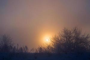 dreamy winter fog dark background photo