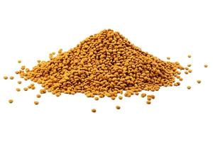 large pile of dry cat food crockets - isolated on white background photo