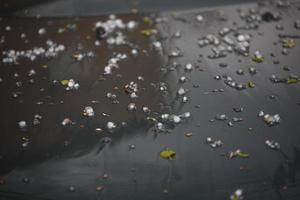 pequeñas bolas de hielo de granizo en el capó del coche negro después de la tormenta de verano foto