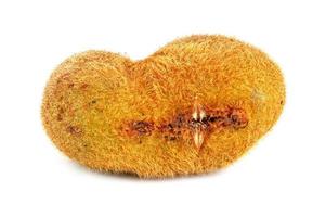 one ugly kiwi mutant fruit isolated on white background photo