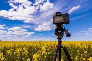 modern professional mirrorless camera on tripod shooting yellow field on tripod, closeup photo