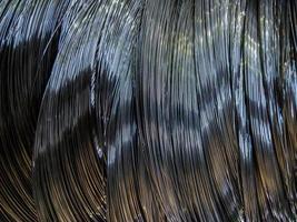 Closeup background of metal wire roll in silver color. Building material. Texture with selective focus. photo