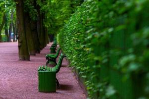 bancos en el jardín de verano en san petersburgo foto