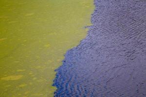 green algae floating on rippled water surface of the pond with pronounced edge photo