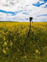 cámara sin espejo profesional moderna en trípode disparando campo amarillo en trípode, primer plano foto