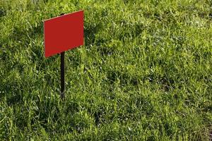 maqueta de signo rojo en blanco sobre fondo de césped verde - primer plano con enfoque selectivo foto
