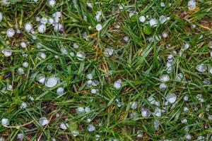 granizo de hielo blanco sobre la hierba verde después de la tormenta de verano foto