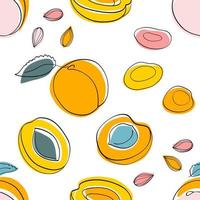 Seamless pattern Apricot jam and dried apricots vector