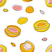 Seamless pattern Apricot half and seeds vector