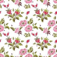 Rose seamless pattern vector