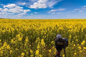 modern professional mirrorless camera on tripod shooting yellow field on tripod, closeup photo