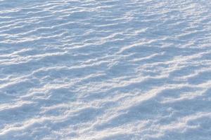 Primer plano de fondo de campo de nieve con enfoque selectivo bajo la luz solar directa de la noche foto