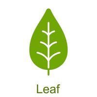 Simple green glyph leaf icon. vector