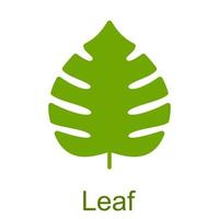 Simple green glyph leaf icon. vector