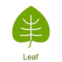 Simple green glyph leaf icon. vector