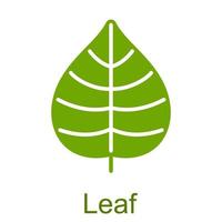 Simple green glyph leaf icon. vector