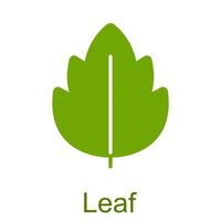 Simple green glyph leaf icon. vector