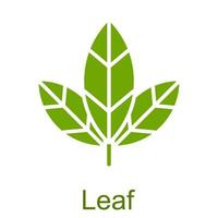 Simple green glyph leaf icon. vector