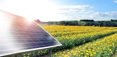 panel fotovoltaico, nueva tecnología para almacenar y utilizar la energía de la naturaleza con la vida humana, la energía sostenible y el concepto de amigo del medio ambiente. foto