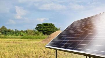 panel fotovoltaico, nueva tecnología para almacenar y utilizar la energía de la naturaleza con la vida humana, la energía sostenible y el concepto de amigo del medio ambiente. foto