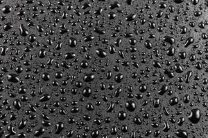 close-up view of water drops on black hydrophobic surface macro sith selective cous and background blur photo