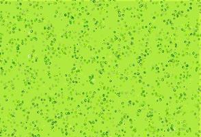 Light Green vector backdrop with dots.