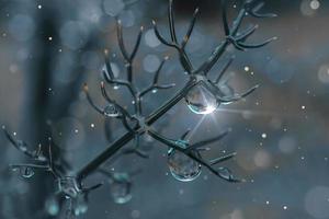 drop on the plant in rainy days in springtime, blue and dark background photo