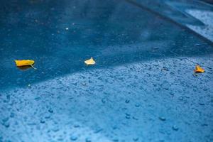 wet aquamarine blue car surface at autumn rainy day with yellow birch leaves and water drops - selective focus with blur photo