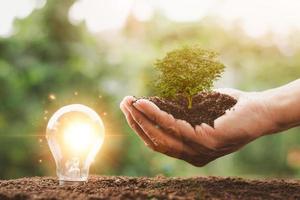 proteger el medio ambiente energía alternativa fuentes de energía renovables sostenibles innovación de energía verde y tecnología energética respetuosa con el medio ambiente, el árbol está en la mano y la bombilla está en el suelo. foto