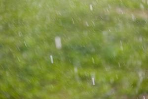 gotas de lluvia que caen sobre fondo verde con enfoque selectivo foto