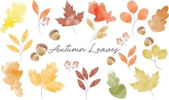 Autumn leaves set collection for decoration, background and card. Autumn illustration watercolor style vector. Colorful autumn leaves set collection vector