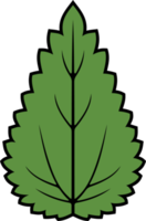 Nettle Leaf Color png