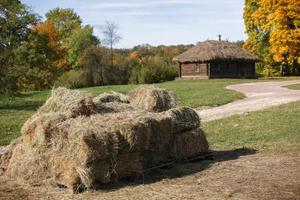 pile of hay stacks in front of traditional russian log house with straw roof near autumn lane with yellow autumn maple trees photo