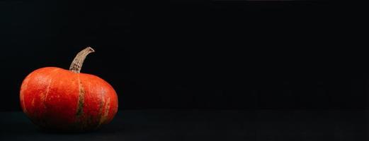 Ripe orange pumpkin on black background. Thanksgiving and halloween. photo