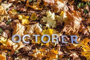 the word october laid with silver metal letters on the ground dry maple leaves photo