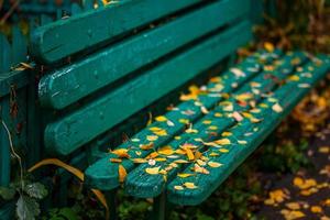 mint green painted wooden bench with autumn fallen leaves- shallow depth of field selective focus close shot photo