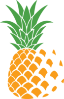 ananas frukt Färg png