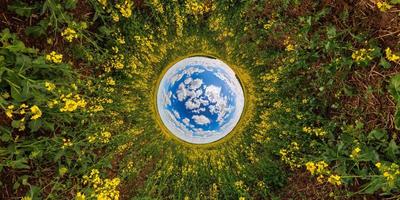 blue sphere reversed little planet view of yellow blossoming rapeseed field, round tunnel view photo