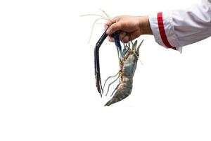 Prawn with hand chef photo