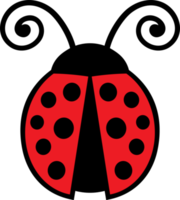 couleur insecte coccinelle png