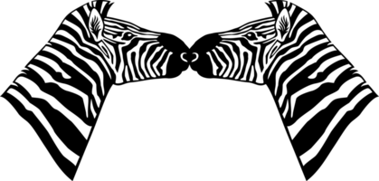 Two Zebras Design