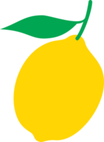 citron- frukt Färg png