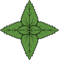 couleur de la plante d'ortie png