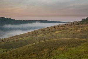 summer morning fog behind wild green slope and far forest photo