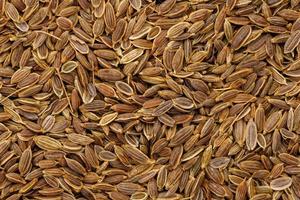 dry dill seeds on flat surface, flat macro texture and full-frame background photo