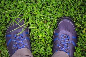 legs in outdoor shoes on clover grass field photo